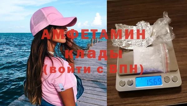 стаф Алзамай