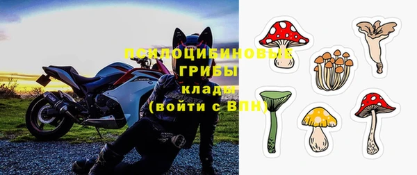 герыч Алексин