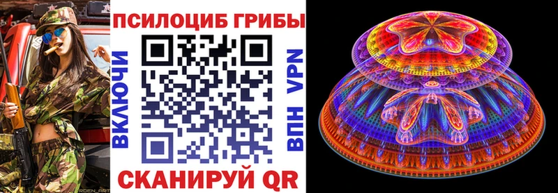 магазин    Куйбышев  Псилоцибиновые грибы MAGIC MUSHROOMS 